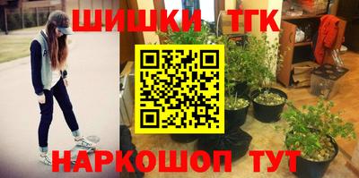 гидра Холмск