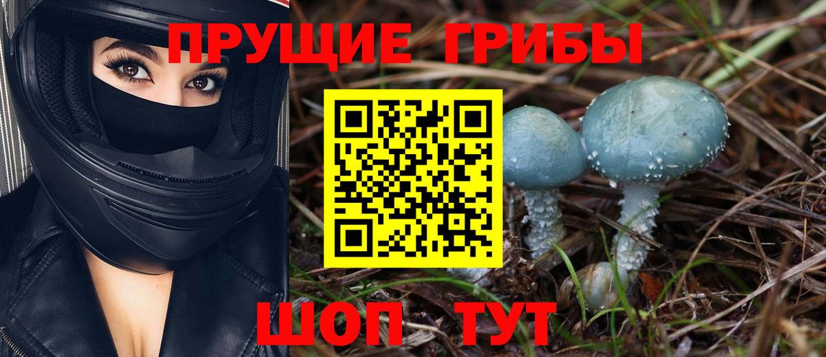 Псилоцибиновые грибы ЛСД  купить наркотики сайты  Вход с VPN  Белогорск  Псилоцибиновые грибы Psilocybine cubensis 